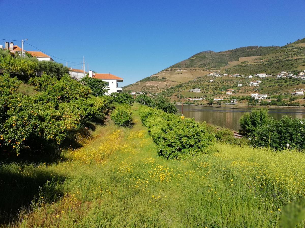 Covelinhas Casa Do Rio 빌라 외부 사진